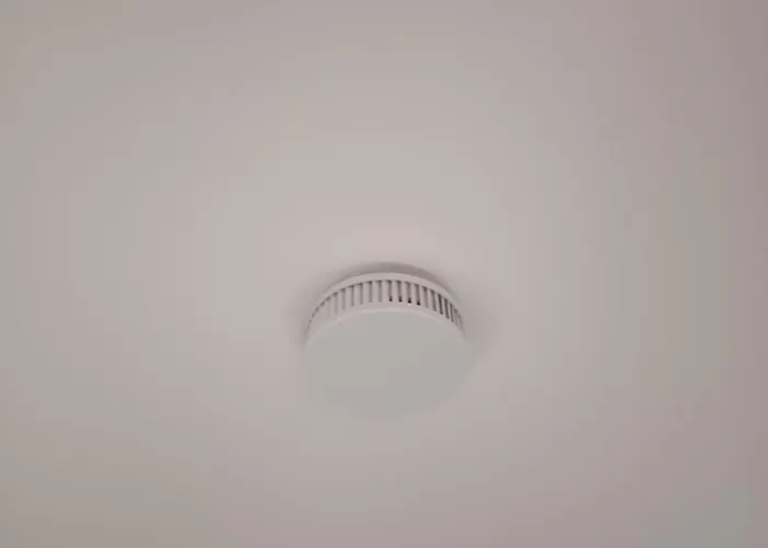 City 7 * 帕德博恩