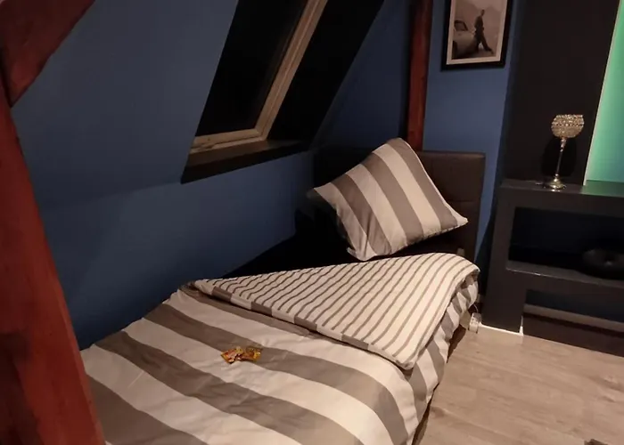 City 7 * 帕德博恩